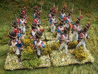 SMALL Napoleonic 7   2018  Old Guard